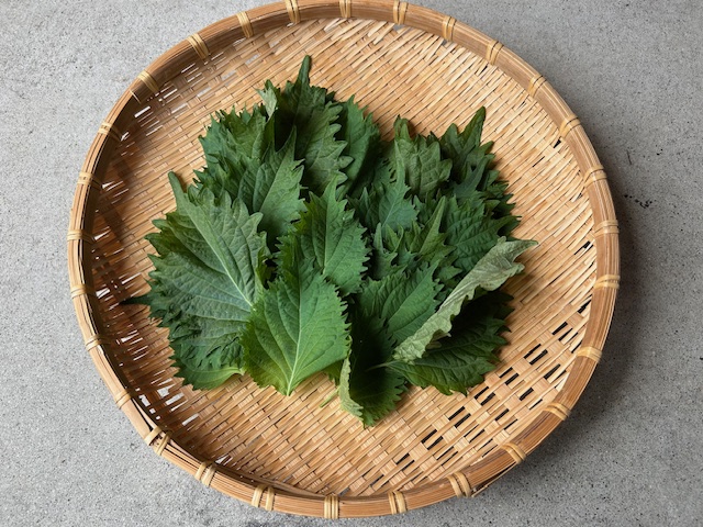 大葉のしょうゆ漬け